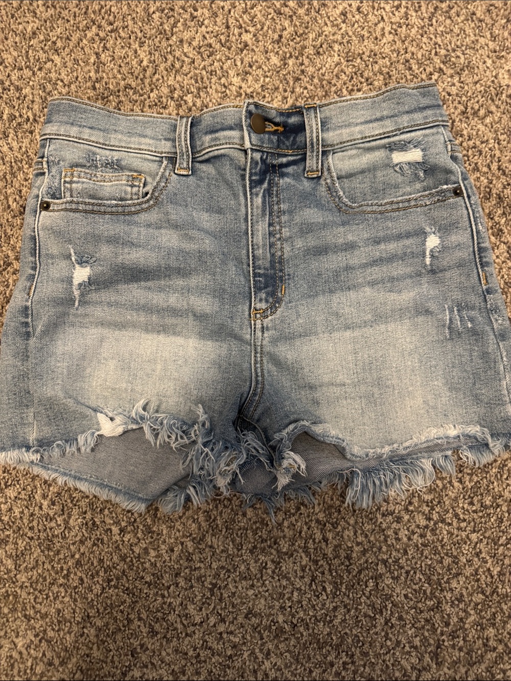 Altar'd State Light Blue Distressed Denim Shorts